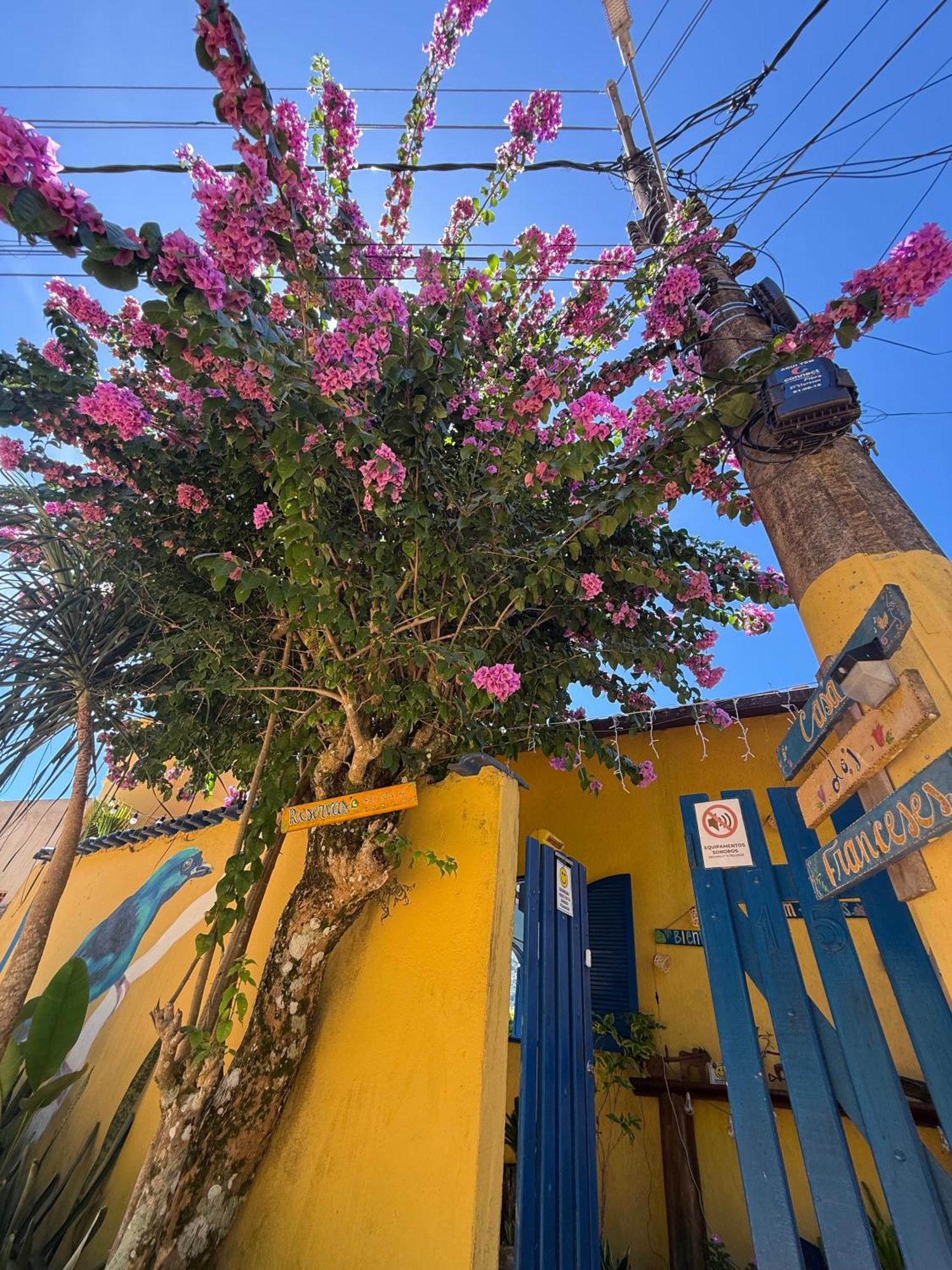 Casa Dos Franceses Guesthouse Ilha Grande 外观 照片