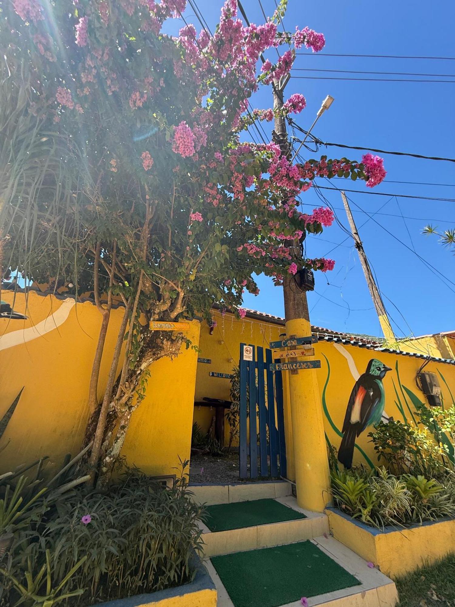 Casa Dos Franceses Guesthouse Ilha Grande 外观 照片